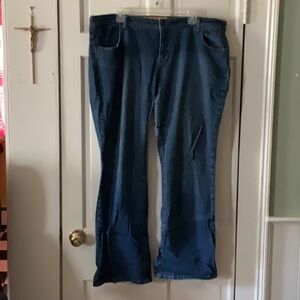 Women's 19/20 plus size Apple Bottom Blue Jeans